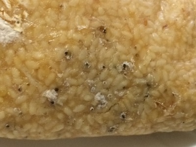 豆乳とおからを使った味噌作り ジップロックに仕込んだ味噌の表面に黒カビ 青カビが生えた うさぎと発酵