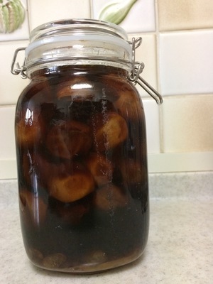 今年の梅仕事では梅酵素シロップ 梅酒 梅味噌を作る きび砂糖 黒糖等で仕込んだ梅シロップを酢 酢酸 や乳酸菌生成エキス ラクティスと一緒に飲む うさぎと発酵