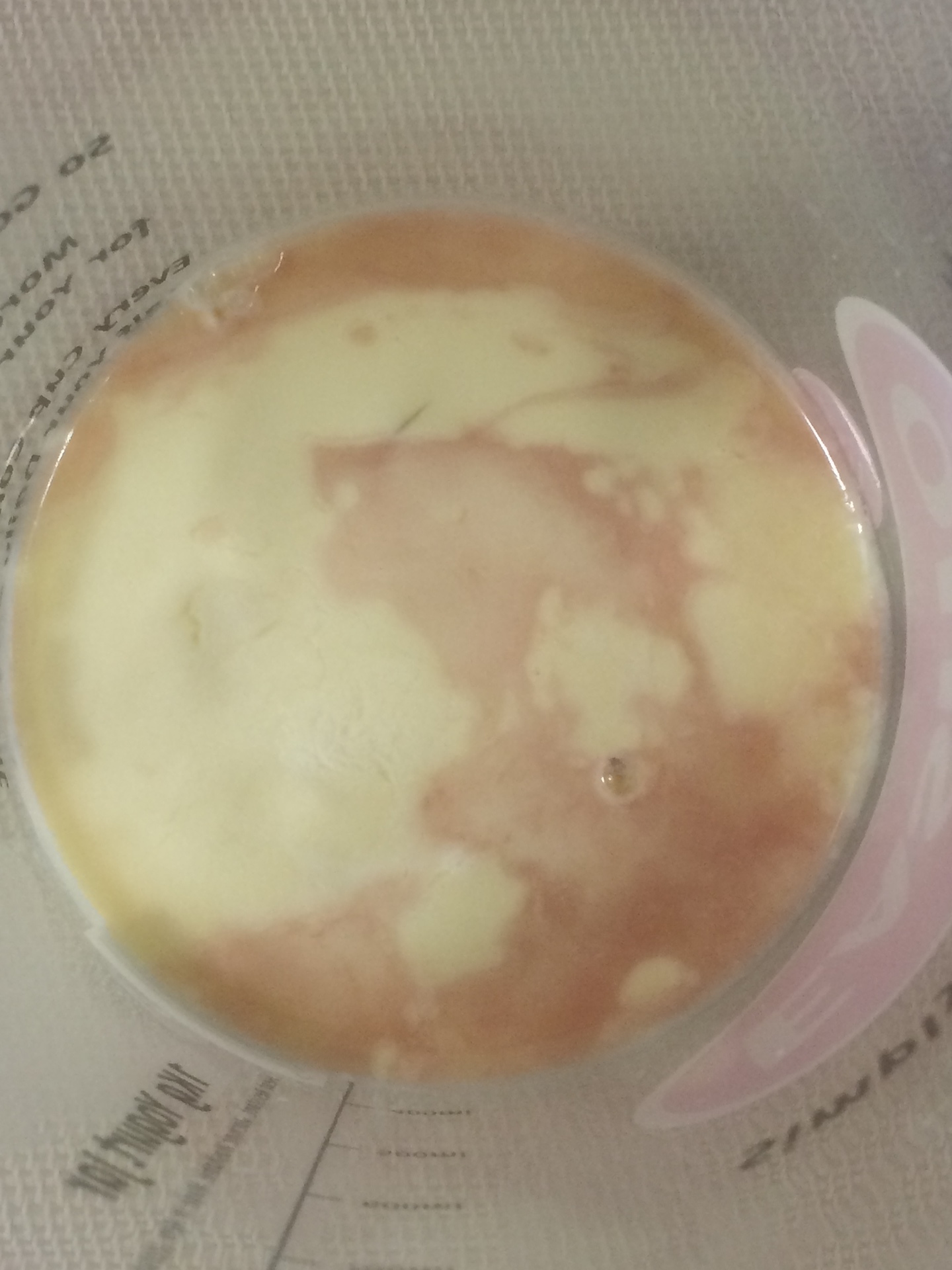 失敗 豆乳ヨーグルトの表面に赤色酵母の ロドトルラ が発生 うさぎと発酵